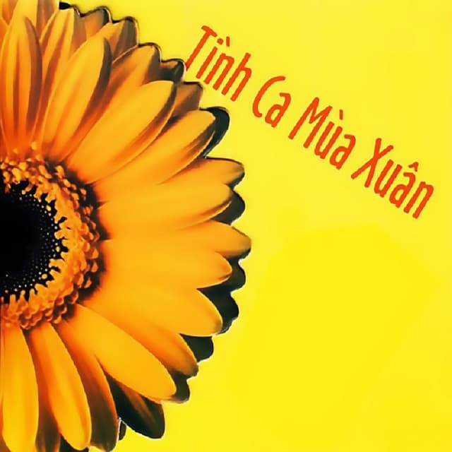 Phút Giao Thừa Lặng Lẽ