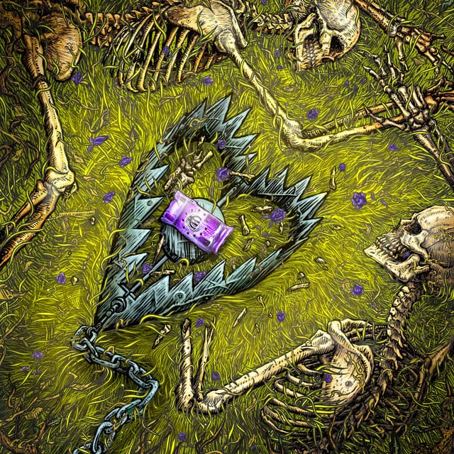 VIOLA – with Salmo