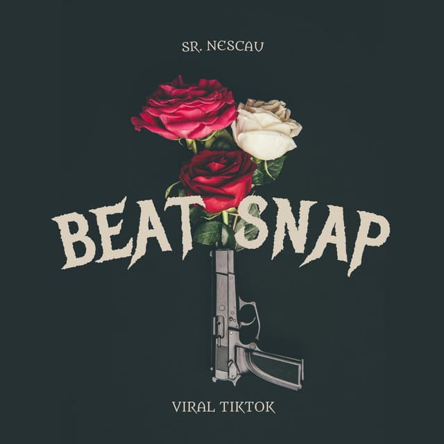 Beat Sn4p (Viral Tiktok)