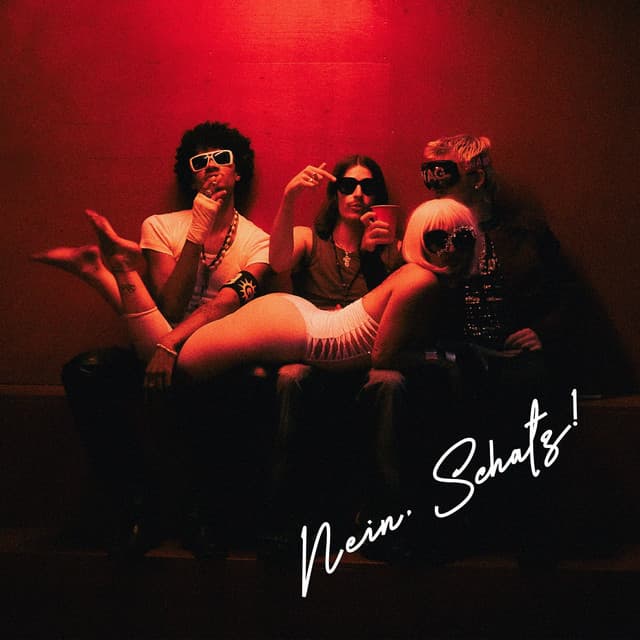 NEIN SCHATZ