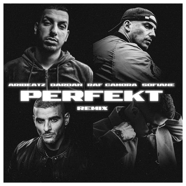 Perfekt (feat. RAF Camora, Sofiane & Dardan) - Remix
