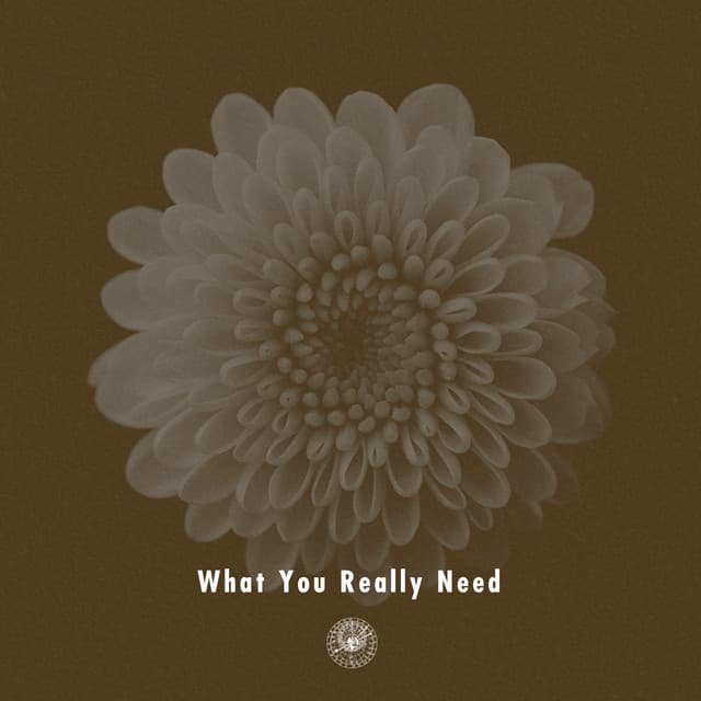 What You Really Need (feat. Miraa May)