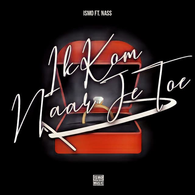 Ik Kom Naar Je Toe (feat. Nass)