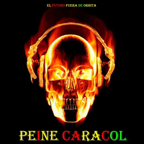 Peine Caracol 2