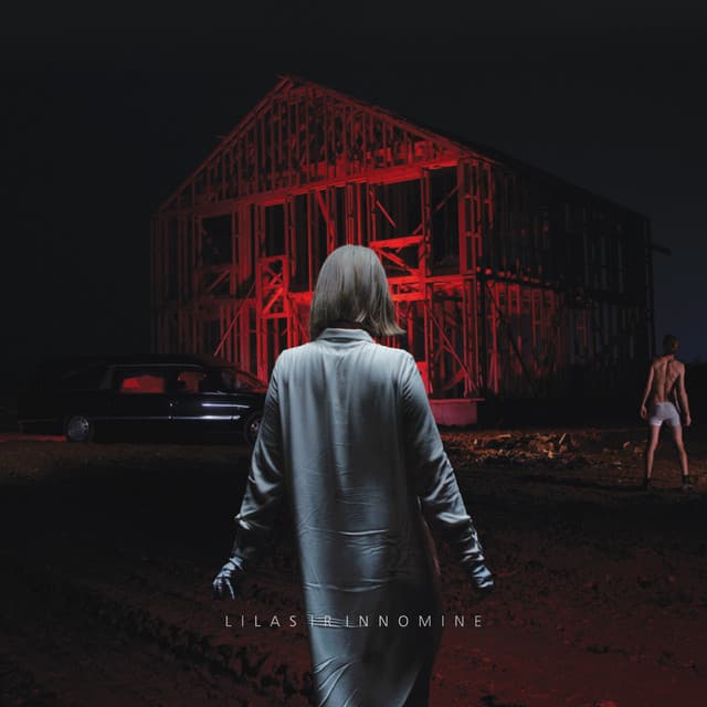 Kai Tu Žengi Gūžiasi Vilnius