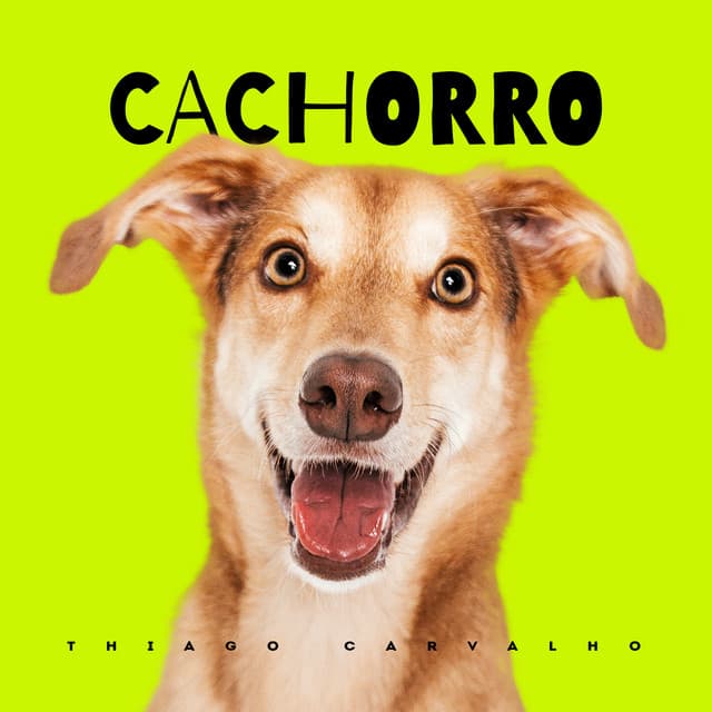 Cachorro