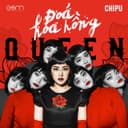 Doa Hoa Hong (Queen) - Original
