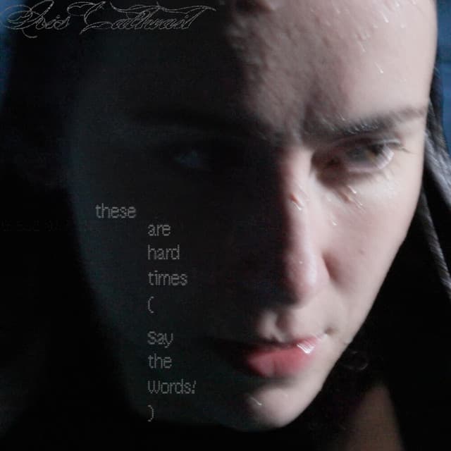 these are hard times (Say the Words!)