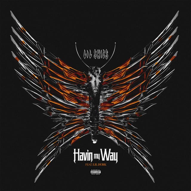 Havin My Way (feat. Lil Durk)