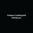 Walmart Yodeling Kid