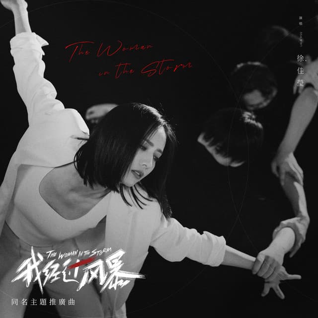 我經過風暴 (電影《我經過風暴》同名主題推廣曲)