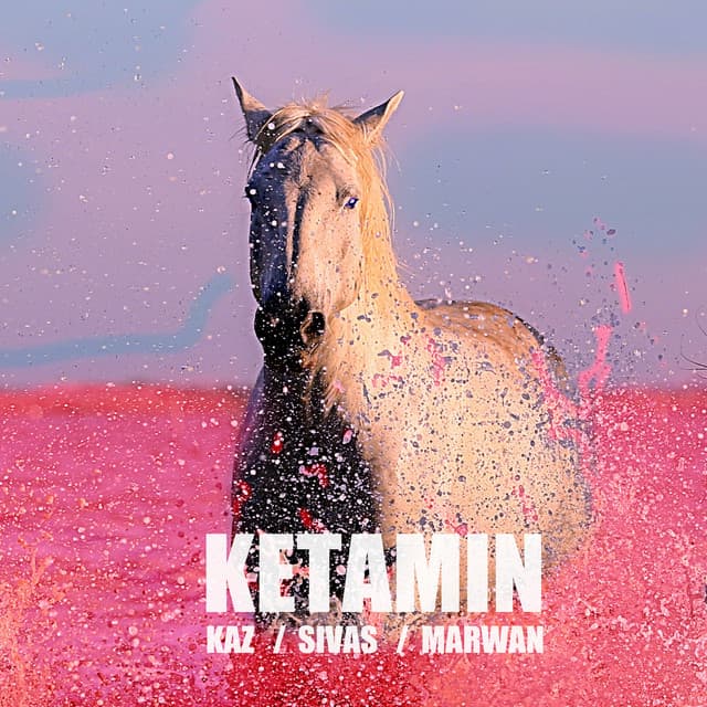 Ketamin (feat. Sivas & Marwan)