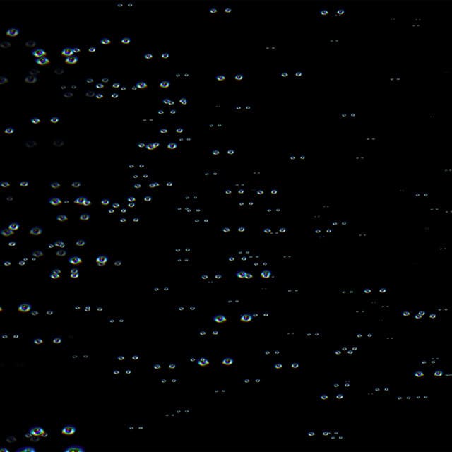 Att vara själv och inte ensam alls