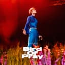 Bird of Pray - Vidbir 2025