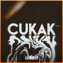 Người Chơi Hệ Đẹp - Cukak Remix