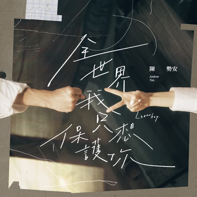 全世界我只想保護你