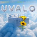 uValo (feat. Dlala Thukzin)