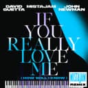 If You Really Love Me (How Will I Know) - MistaJam Remix