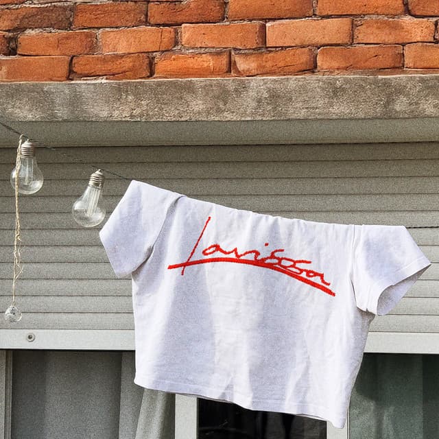 Larissa - From Larissa: The Other Side Of Anitta