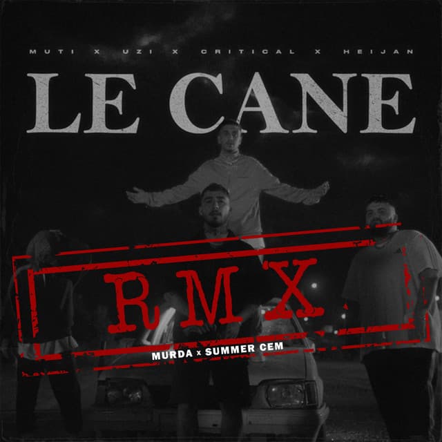 LE CANE - RMX