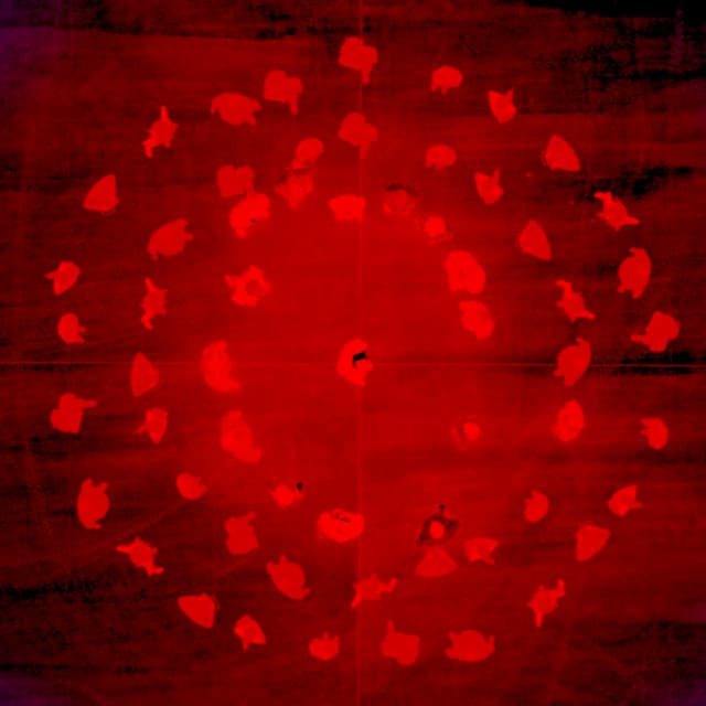 Ukryty w mieście krzyk [Projekt Tymczasem]