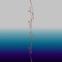 FINE LINE (feat. Skaai) (Prod. uin)