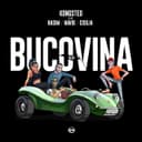 Bucovina (feat. Basim, Navid, Cisilia, Shantel)
