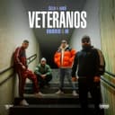VETERANOS (feat. Brudi030 & HK)