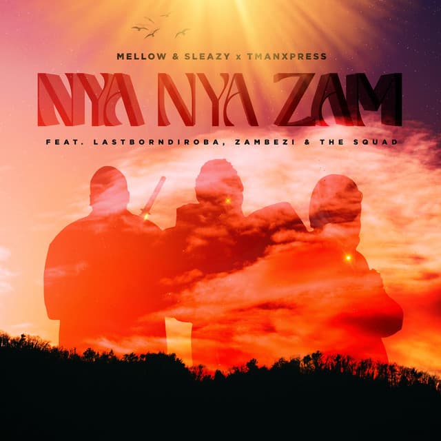 Nya Nya Zam (feat. Lastborn Diroba, Zambezi & The Squad)