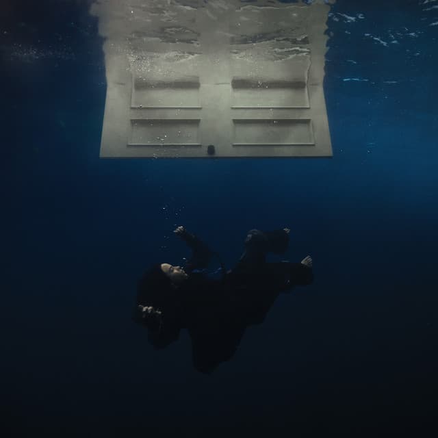 BIRDS OF A FEATHER artwork