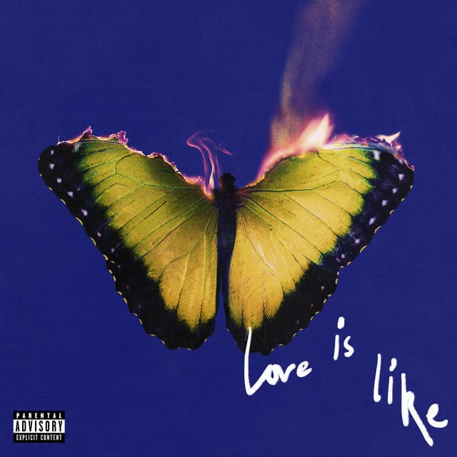 Love Is Like (feat. Lil Wayne)