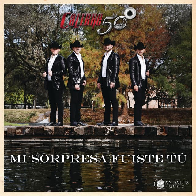 Mi Sorpresa Fuiste Tú