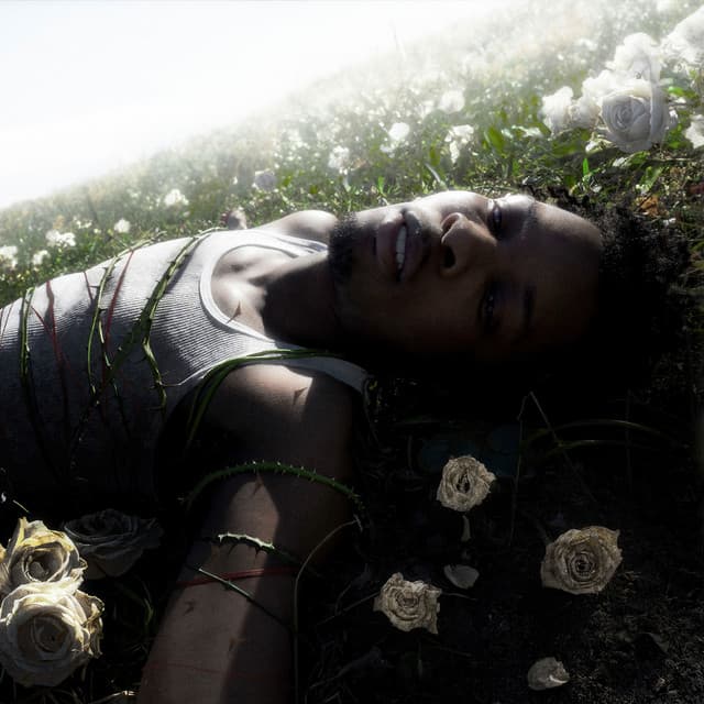 Is This Really Love?