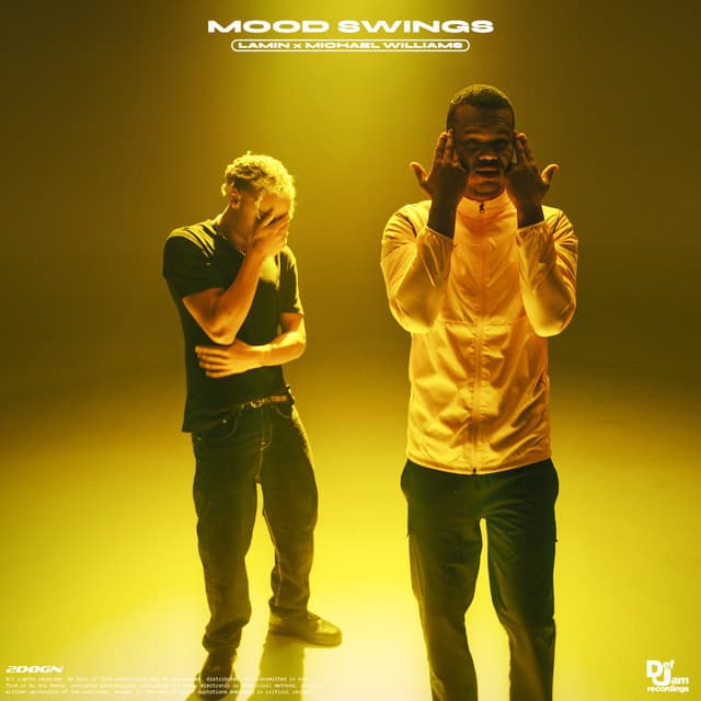 Mood Swings (Lamin X Michael Williams)