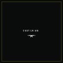 C'est la vie (feat. MellemFingaMuzik)