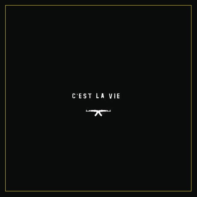 C'est la vie (feat. MellemFingaMuzik)
