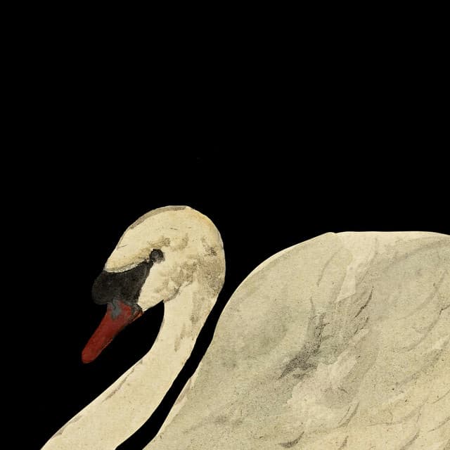 Ben Met Je (feat. ADF Samski & Kaya Imani)