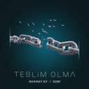 Teslim Olma