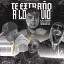 Te Extraño a Lo Vio (feat. El Rey & Gringuitos Records)