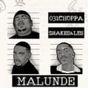Malunde (feat. Springle)