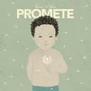 Promete