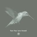 Turn Your Love Around (feat. Michael Kaneko)