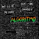 Algoritmo (feat. Shaggy) (with Don Joe)