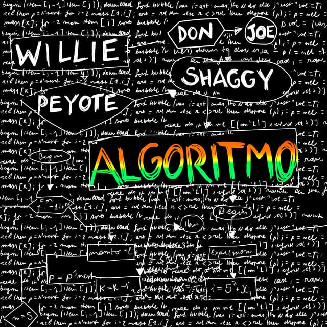 Algoritmo (feat. Shaggy) (with Don Joe)
