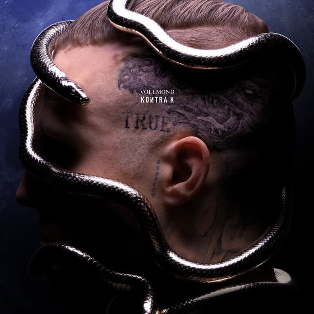 Sie rennt (feat. Ufo361)