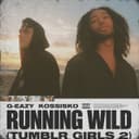 Running Wild (Tumblr Girls 2) (feat. Kossisko)