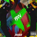 PDCV (Pas dans cette vie)