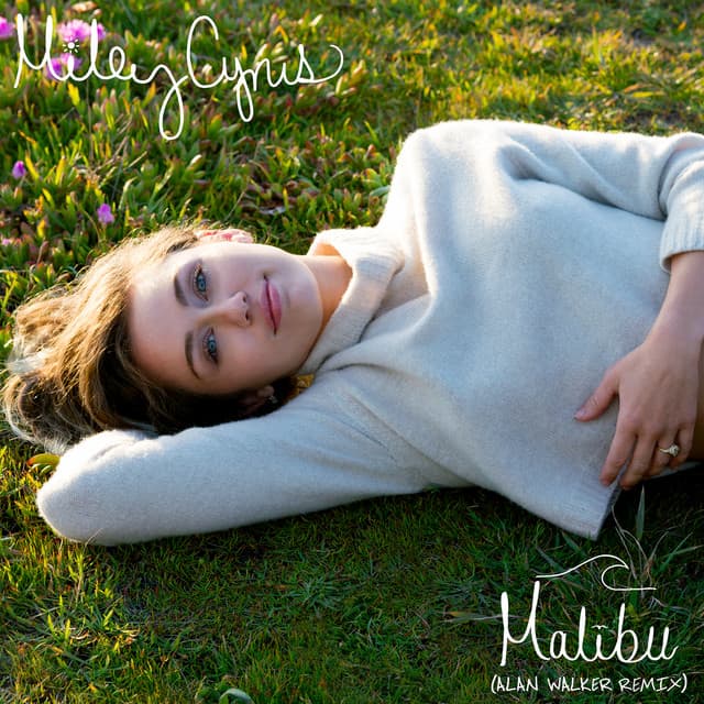 Malibu - Alan Walker Remix
