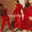 Little Of Your Love - BloodPop® Remix