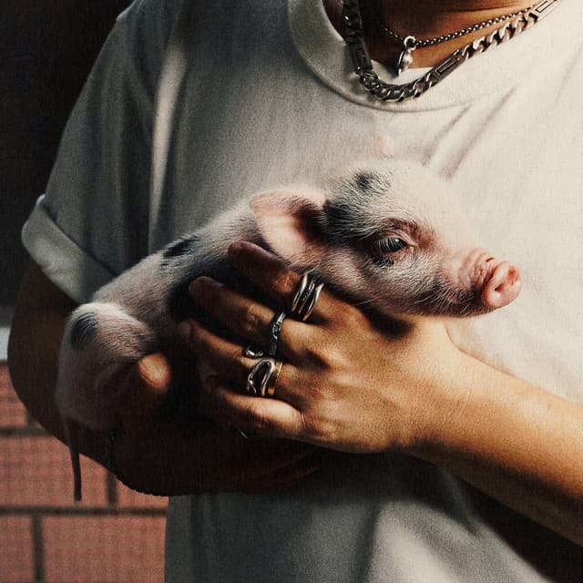 We Don't Know Everything